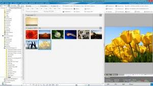 Ashampoo Photo Commander 12.0.1 RePack (& Portable) by KpoJIuK [Multi/Ru]