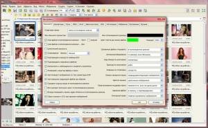 FastStone Image Viewer 5.1 Final Corporate RePack (& Portable) by VIPol [Ru]