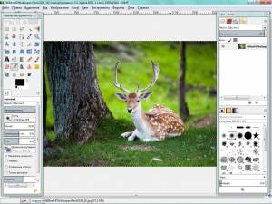 GIMP 2.10.0 RC2 [Multi/Ru]