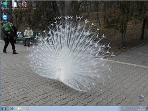 Windows 7 Ultimate Office 2013 KottoSOFT v.6.9.14 (x64) (2014) [Rus]