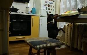 ������ (1-8 ������)