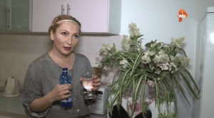 ����� �������� ��������� (1-10 ������)