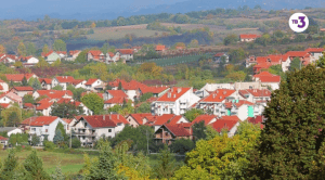 ������ �����. ����� ���� (2 �����: 1-7 ������)