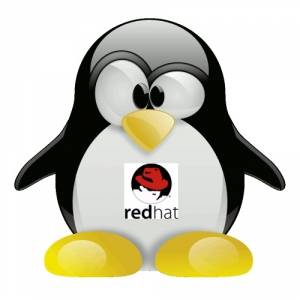 Red Hat Enterprise Linux (Server) 7.2 [x86-64] 1xDVD + 1xCD