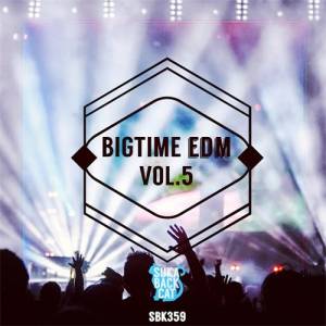VA - Bigtime EDM, Vol. 5