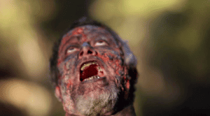 �������� ��������