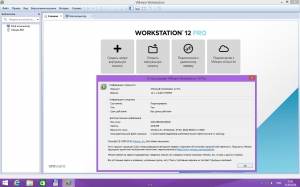 VMware Workstation 12 Pro 12.5.9.7535481 RePack by KpoJIuK [Ru/En]