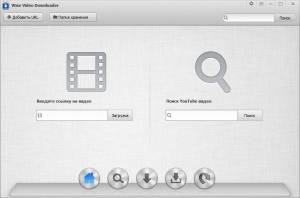 Wise Video Downloader 2.43.93 [Multi/Ru]
