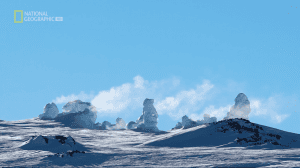 NG. ������� ���������: ����������