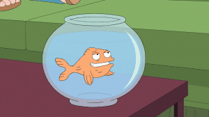 ������������ ������!