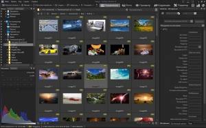 ACDSee Ultimate 10.3 Build 894 [Ru/En]