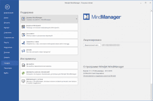 Mindjet MindManager 2017 17.1.178 [Ru]