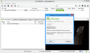 uTorrent 3.5.0 build 43804 Pro Portable by ����3�79 [Multi/Ru]