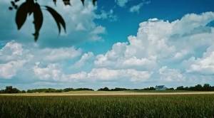 ������ ���������