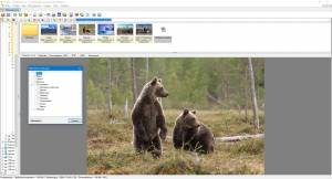 XnView 2.43 | Minimal | Standard | Extended + Portable [Multi/Ru]