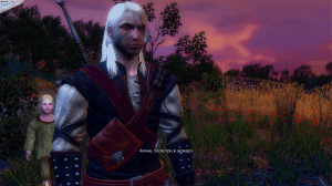 The Witcher