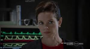 �������� ���