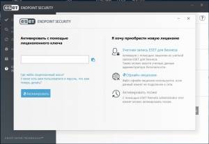 ESET Endpoint Antivirus / ESET Endpoint Security 11.0.2032.0 RePack by KpoJIuK [Multi/Ru]