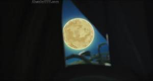 ������ ����� ���������