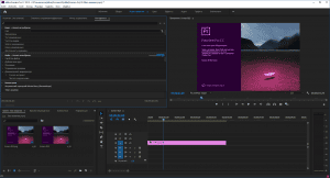 Adobe Premiere Pro CC 2019 (13.1.0.193) Portable by XpucT [Ru/En]