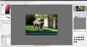 FireAlpaca 2.13.26 RePack (& Portable) by elchupacabra [Multi/Ru]