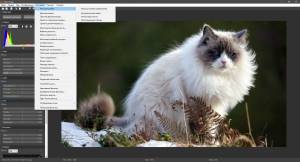 Astra Image PLUS 5.5.8.0 RePack (& Portable) by elchupacabra [Ru/En]