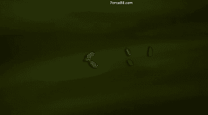 ������ ����