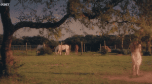 � �������� ����