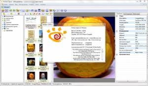 XnView 2.48 (Minimal-Standard-Extended) + portable [Multi/Ru]