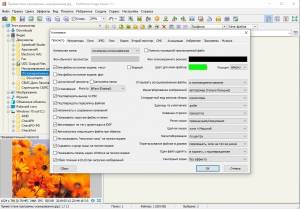 FastStone Image Viewer Corporate 7.8 RePack (& Portable) by TryRooM [Multi/Ru]