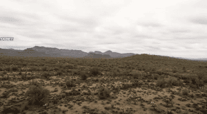 ����� �� ������