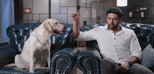 ������ / ���