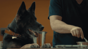 ������ �� ������ / ����� ����� ������ / ����� �����