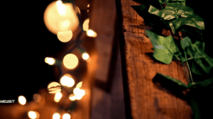 ������� � �����