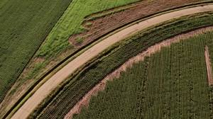 ��� �����