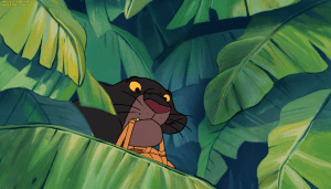 ����� �������� 