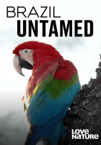 ����� �������� / Brazil Untamed