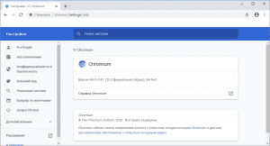 Chromium UNGOOGLED 101.0.4951.54 + Portable [Ru/En]