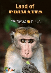 ����� ��������