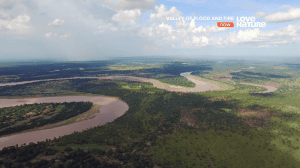 ������ ���� � ����