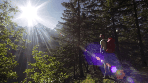 ������������� �����