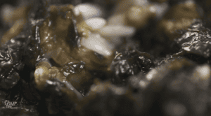 ������ ���: �, �����!