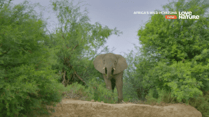 ����� �������� ������