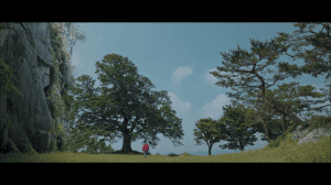 ���������: ������ �������