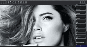 Picture Colorizer Pro 2.4.0 RePack (& Portable) by elchupacabra [Ru/En]