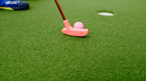  ������ ������������ ����