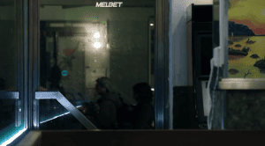  ���� �����: ����� ������, ����� ����-����