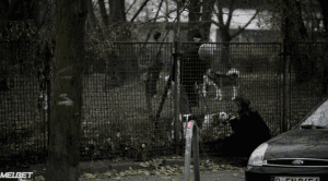  ���� �����: ����� ������, ����� ����-����