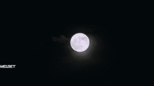  ׸���� ����: ����� ������