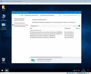 Windows 10 Enterprise LTSC (x64) Elgujakviso Edition (v.08.05.24) [Ru]